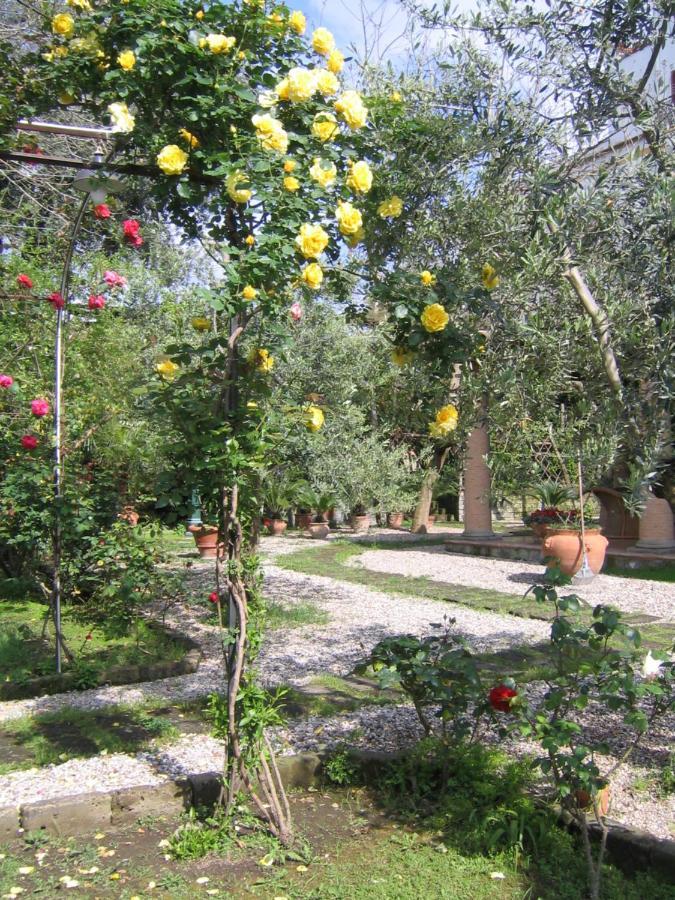 Suite Lidia B&B Sorrent Exterior foto