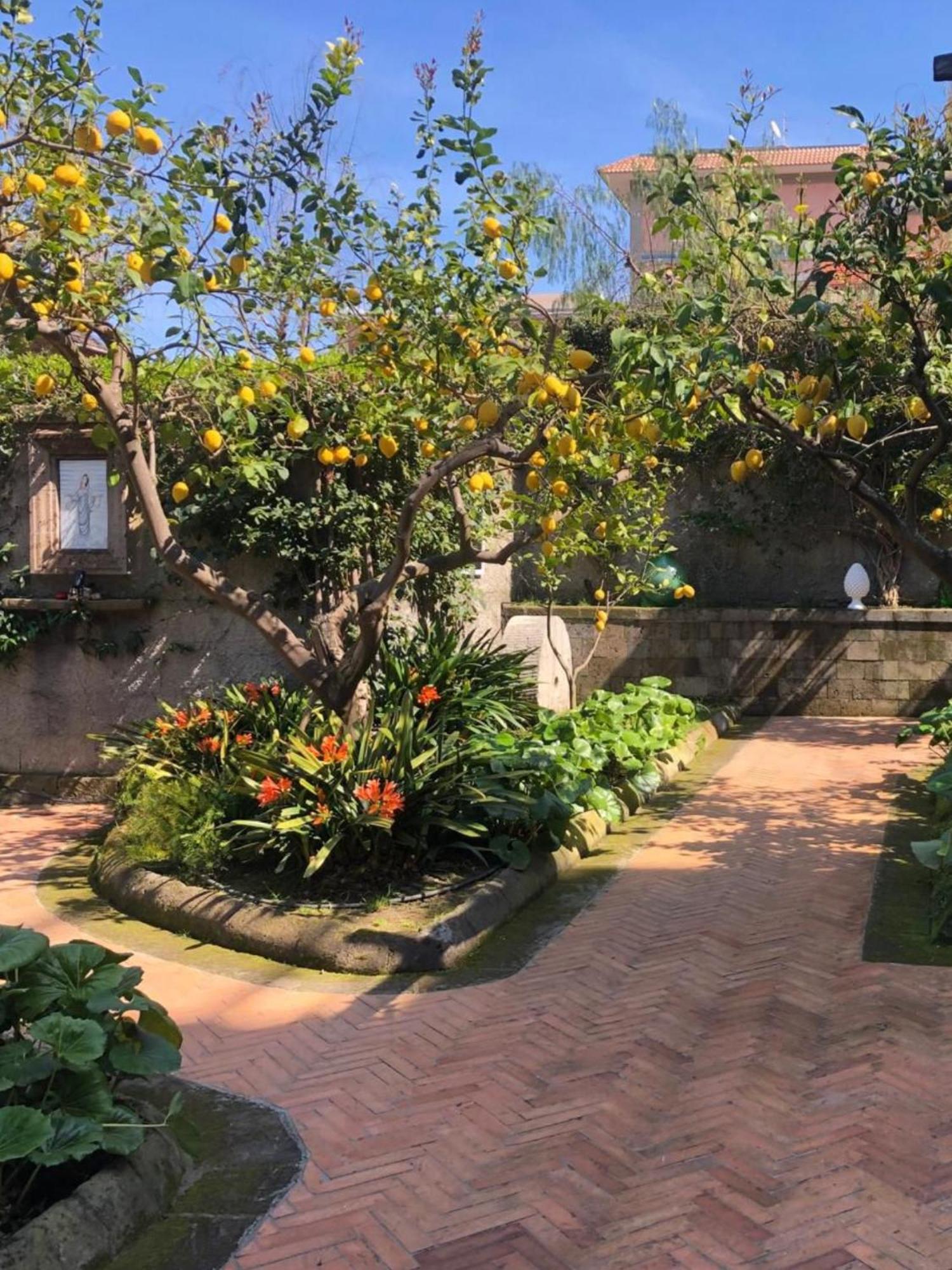 Suite Lidia B&B Sorrent Exterior foto