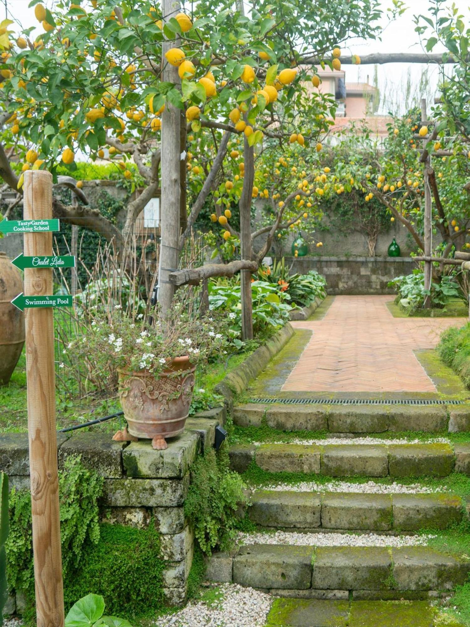 Suite Lidia B&B Sorrent Exterior foto